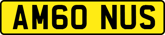 AM60NUS