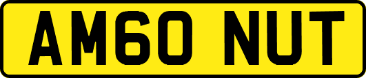 AM60NUT