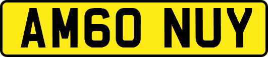 AM60NUY