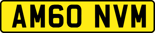 AM60NVM