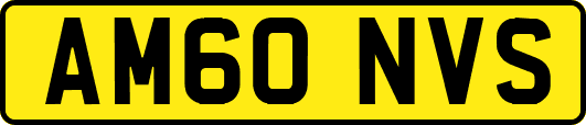 AM60NVS