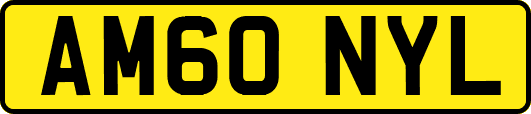 AM60NYL