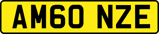 AM60NZE
