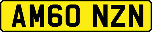 AM60NZN