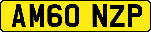 AM60NZP