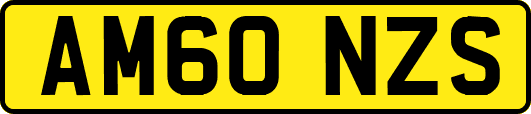 AM60NZS