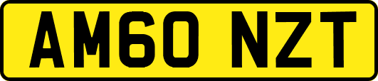 AM60NZT