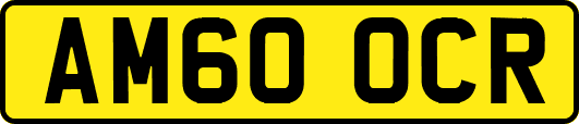 AM60OCR