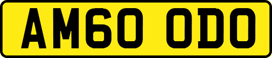AM60ODO