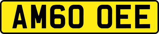 AM60OEE