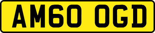 AM60OGD