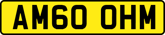 AM60OHM