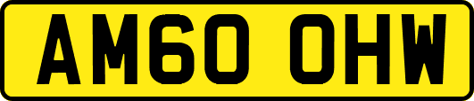 AM60OHW