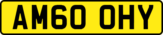 AM60OHY
