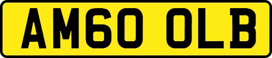 AM60OLB