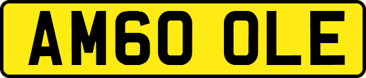 AM60OLE