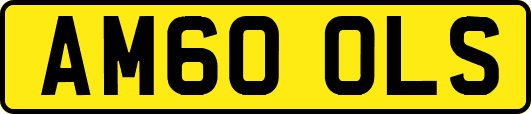 AM60OLS