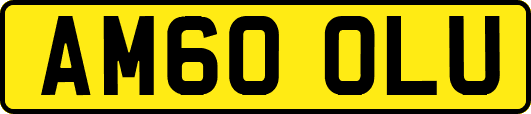 AM60OLU