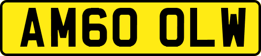 AM60OLW