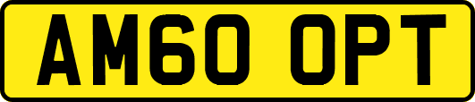 AM60OPT