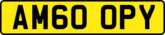 AM60OPY