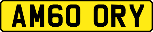 AM60ORY