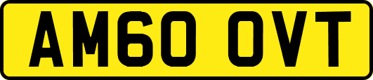 AM60OVT