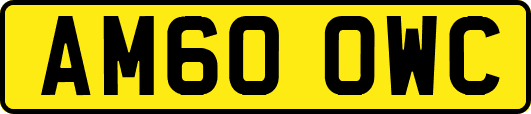 AM60OWC