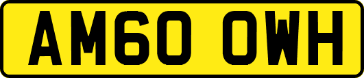 AM60OWH