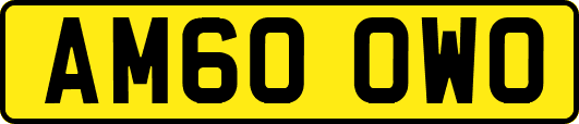 AM60OWO