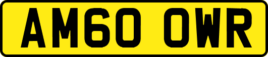 AM60OWR