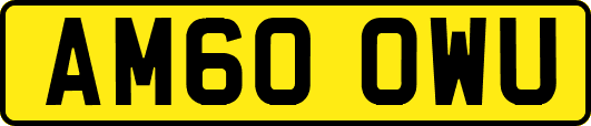 AM60OWU