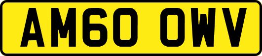AM60OWV