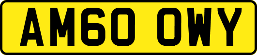 AM60OWY