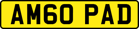 AM60PAD
