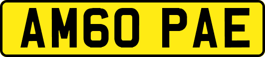 AM60PAE