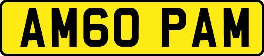 AM60PAM