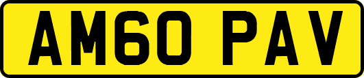 AM60PAV