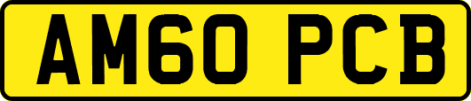 AM60PCB