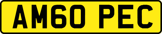 AM60PEC