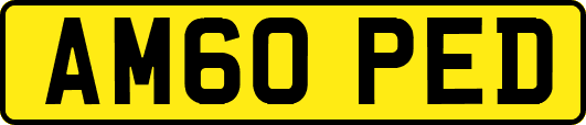 AM60PED