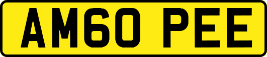 AM60PEE