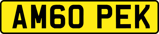 AM60PEK