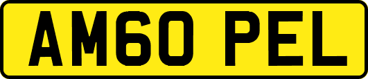 AM60PEL