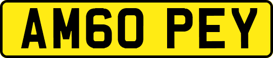 AM60PEY