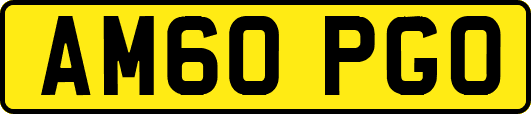 AM60PGO