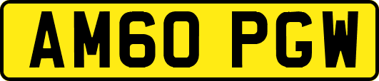 AM60PGW
