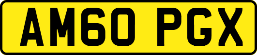 AM60PGX