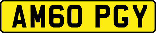 AM60PGY