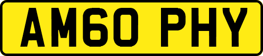 AM60PHY